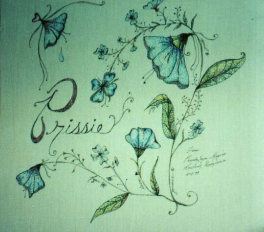 Flower Fairy Sketch